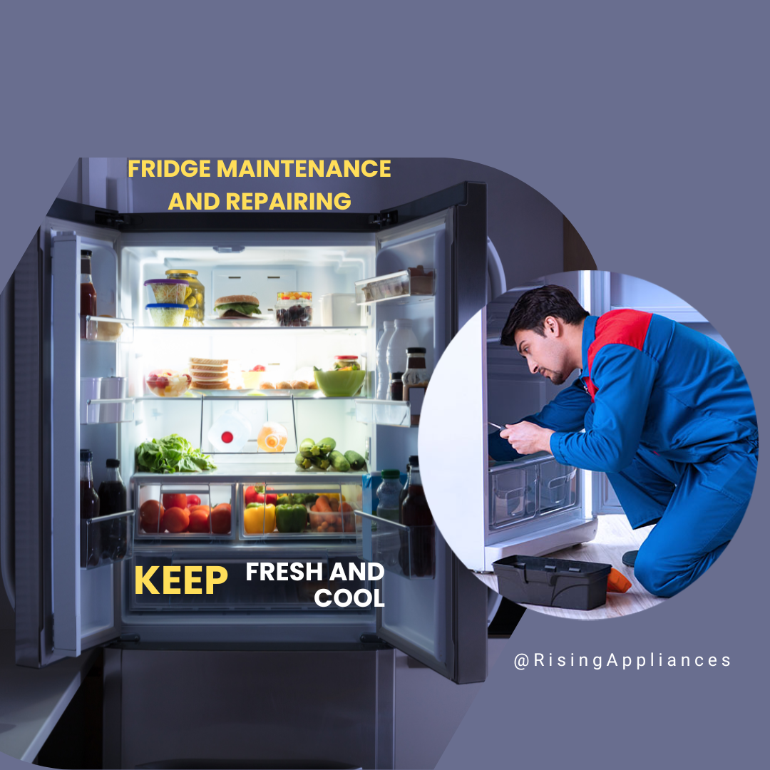 Fridge repairing and maintenance